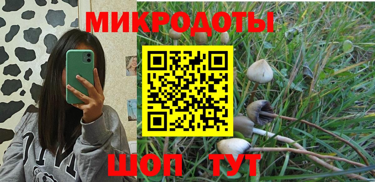 Псилоцибиновые грибы прущие грибы  купить  цена  Псилоцибиновые грибы мухоморы  Жигулёвск  Вход с VPN 